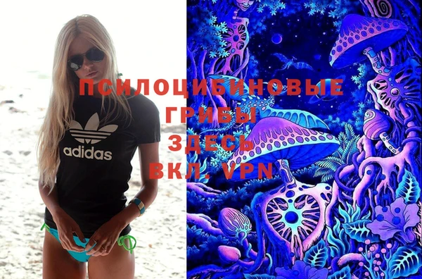 мдпв Бронницы
