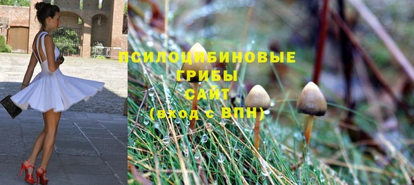 соль курить ск Бугульма
