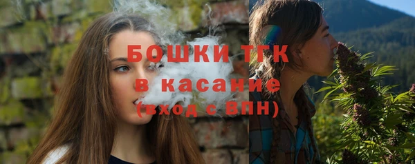 мдпв Бронницы