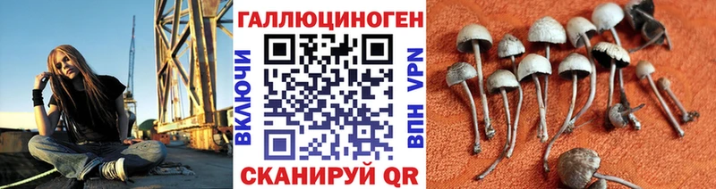 Псилоцибиновые грибы GOLDEN TEACHER  Козельск 